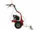Eurosystems M90 - Motofalciatrice monolama - Loncin 123 OHV