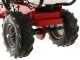 Eurosystem Carry Sprayer - Motocarriola irroratrice - Motore Honda GCVx170