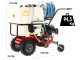 Eurosystem Carry Sprayer - Motocarriola irroratrice - Motore Honda GCVx170
