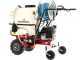 Eurosystem Carry Sprayer - Motocarriola irroratrice - Motore Honda GCVx170