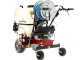Eurosystem Carry Sprayer - Motocarriola irroratrice - Motore Honda GCVx170