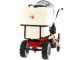 Eurosystem Carry Sprayer - Motocarriola irroratrice - Motore Honda GCVx170