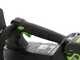 Greenworks GD40TCS - Elettrosega da potatura 40V 2Ah - Lama da 25cm
