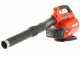 Echo DPB-600 - Soffiatore a batteria 56V 4Ah