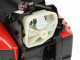 Blue Bird CSP 280T - Motosega a scoppio da potatura - Lama da 25cm