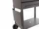 Seven Italy Polifemo Medium - Barbecue in ferro artigianale a carbone - 57,5x37cm