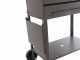 Seven Italy Polifemo Medium - Barbecue in ferro artigianale a carbone - 57,5x37cm