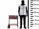 Mille Flavia c/r 55 - Barbecue in ferro artigianale a carbone - 55,5x29,5cm