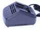 Alpina AMT 20 Li - Potatore su asta di prolunga telescopica a batteria multifunzione - batteria 20V 4Ah