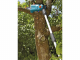 Gardena TCS 20/18V P4A Ready-To-Use Set - Potatore a batteria su asta telescopica
