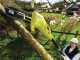 Ryobi RP750450 - Potatore/Tagliasiepi su asta telescopica - Lama da 45cm