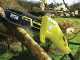 Ryobi RPP750S - Potatore elettrico su asta telescopica - Barra Oregon 20cm
