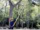 Silky Hayate 6100 - Seghetto professionale su asta telescopica in alluminio
