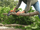 Worx WG324E - Potatore manuale a batteria 20V 2Ah
