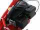 Eurosystems M210 - Motofalciatrice bilama - Loncin LC1P65FE