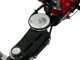 Eurosystems M210 - Motofalciatrice bilama - Loncin LC1P65FE