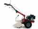 Eurosystems P55 - Motocoltivatore benzina - Loncin LC1P70F-3 - 6.5HP