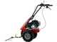 Eurosystem Minieffe - Motofalciatrice multifunzione - Loncin L200 OHV