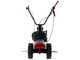 Eurosystem Minieffe - Motofalciatrice multifunzione - Loncin L200 OHV
