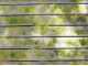 Rullo per legno per pulisci pavimenti RYOBI