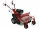 GeoTech-Pro GFM 600 L - Trinciaerba professionale a martelli - Loncin 250cc