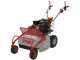 GeoTech-Pro GFM 600 L - Trinciaerba professionale a martelli - Loncin 250cc