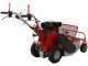 GeoTech-Pro GFM 600 L - Trinciaerba professionale a martelli - Loncin 250cc