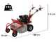 GeoTech Pro GFM 600 L - Trinciaerba professionale a martelli - Loncin LC175F-2