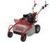 GeoTech Pro GFM 600 L - Trinciaerba professionale a martelli - Loncin LC175F-2