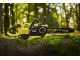 Ryobi RY36CSX35A-150 - Elettrosega a batteria 36V 5Ah - Lama da 35cm