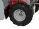 GeoTech-Pro GFM 600 BS - Trinciaerba professionale a martelli - B&amp;S CR950