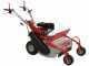 GeoTech-Pro GFM 600 BS - Trinciaerba professionale a martelli - B&amp;S CR950