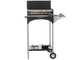 Famur BK 6 Eco - Barbecue a legna, carbone e gas