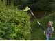 Ryobi RPT4545E - Tagliasiepi elettrico su asta di prolunga telescopica - Lama da 45 cm