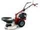 Eurosystems RS210 - Motofalciatrice multifunzione rotativa - B&amp;S 675 EXi