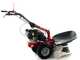 Eurosystems RS210 - Motofalciatrice multifunzione rotativa - Loncin 196 OHV