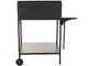 Famur BK7 Superior - Barbecue a legna e carbone