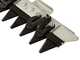 Eurosystems Minieffe M150 - Motofalciatrice multifunzione - B&amp;S 625 EXi