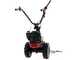 Eurosystems Minieffe M150 - Motofalciatrice multifunzione - B&amp;S 625 EXi
