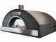 Forno a legna Professionale INOX F00100 - 10 pizze