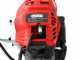 GeoTech GT-2 52 L - Tagliasiepi a scoppio su asta di prolunga - Lama da 56 cm