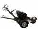 BlackStone SG 420 L ES PRO - Fresaceppi - Motore Loncin da 420cc - Ruota di taglio con 8 frese in carburo di tungsteno