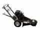 BlackStone SG 420 L ES PRO - Fresaceppi - Motore Loncin da 420cc - Ruota di taglio con 8 frese in carburo di tungsteno