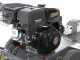 BlackStone SG 420 L ES PRO - Fresaceppi - Motore Loncin da 420cc - Ruota di taglio con 8 frese in carburo di tungsteno