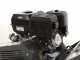 BlackStone SG 420 B&amp;S - Fresaceppi - Motore B&amp;S XR2100 420cc - Ruota di taglio con 8 frese in carburo di tungsteno