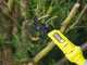 Ryobi RY18PLA-0 - Svettatoio a batteria - 18V 4Ah - Diametro di taglio 32mm
