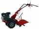 Eurosystems RTT 2 SR - Motocoltivatore benzina - Brigs&amp;Stratton CR950 - 7HP