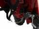 Eurosystems RTT2 SR - Motocoltivatore benzina - Honda GP160 - 4.8HP