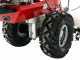 Eurosystems P70 EVO - Motocoltivatore benzina - Loncin LC1P75F - 7HP
