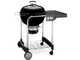 Weber Performer GBS - Barbecue a carbone